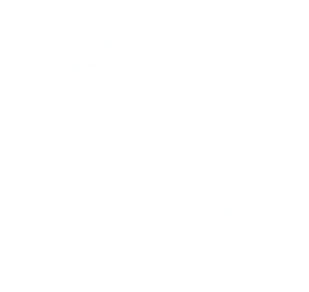 Digital globe illustration with interconnected lines, representing global connectivity and international business networking.